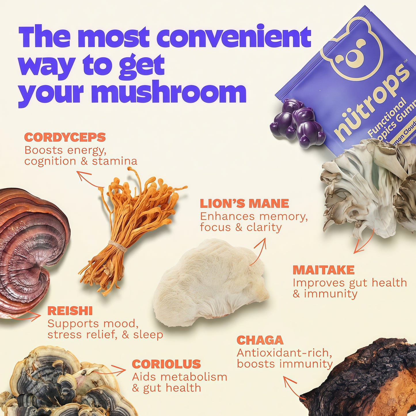 Grüns Nutrops Nootropics Mushroom Gummies for Brain Health